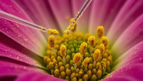 a close-up view of pollen transfer in a vibrant flower as scientists utilize precision tools for pollination study in a beautiful floral environment