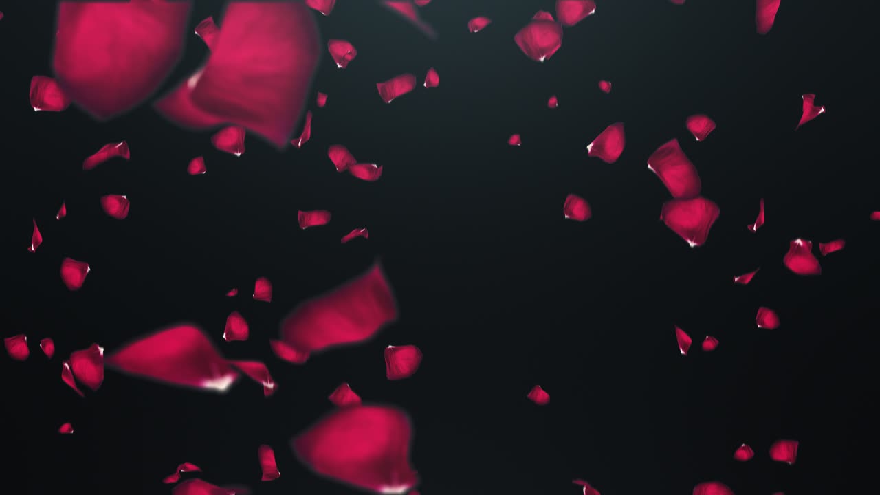 Pétalas de rosas caindo em fundo preto