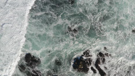 4K-overhead-tracking-shot-of-waves-breaking-from-different-angles-with-seagulls-and-sea-otters-visible-far-below