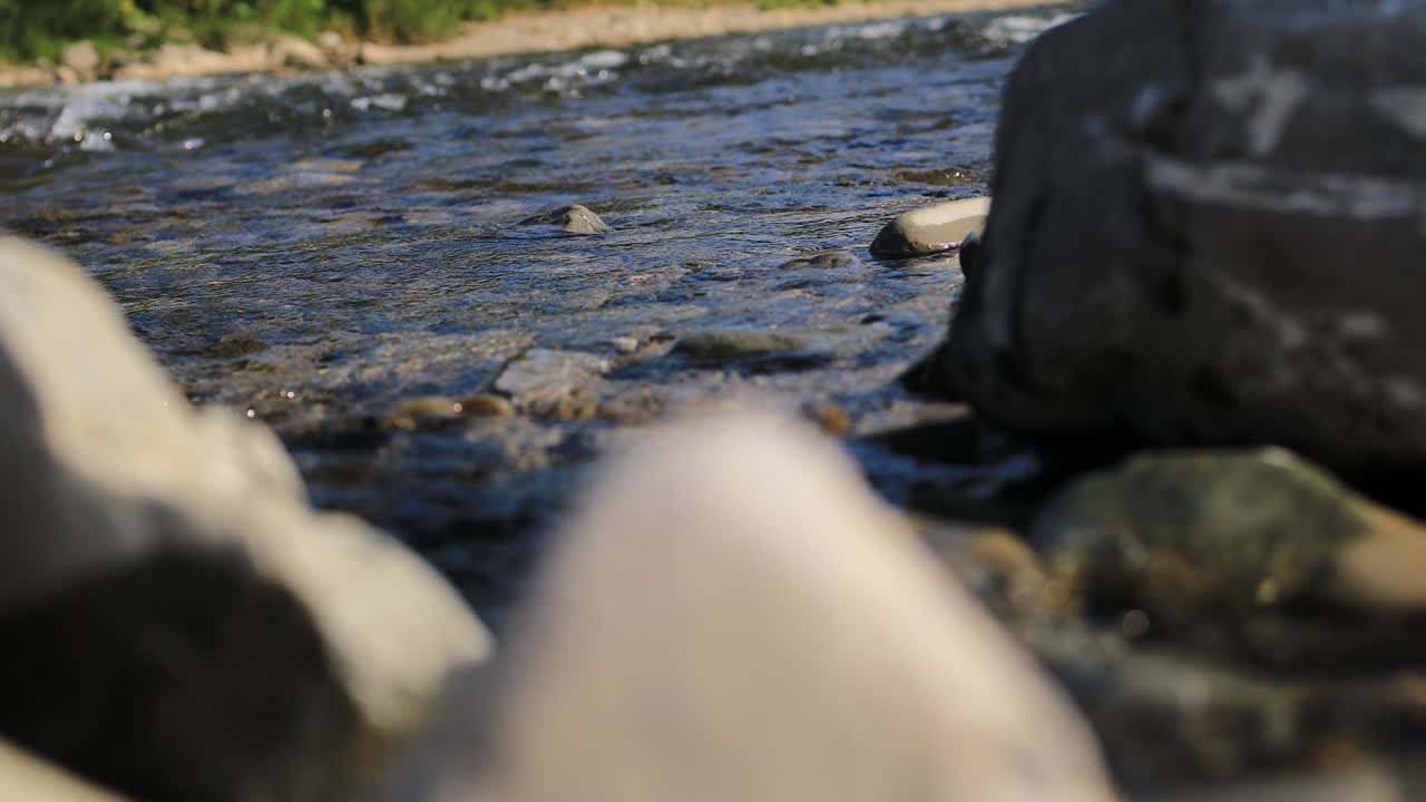 야생 산 강 가까이에 풍부한 은 하천, 돌이 흐르는 바위와 함께 걱거리는 하천의 세부적인 정적, 빠른 스프래싱 물에서 급속한 바위, 우크라이나, 카르파티아, 4k에서 촬영 된 영상