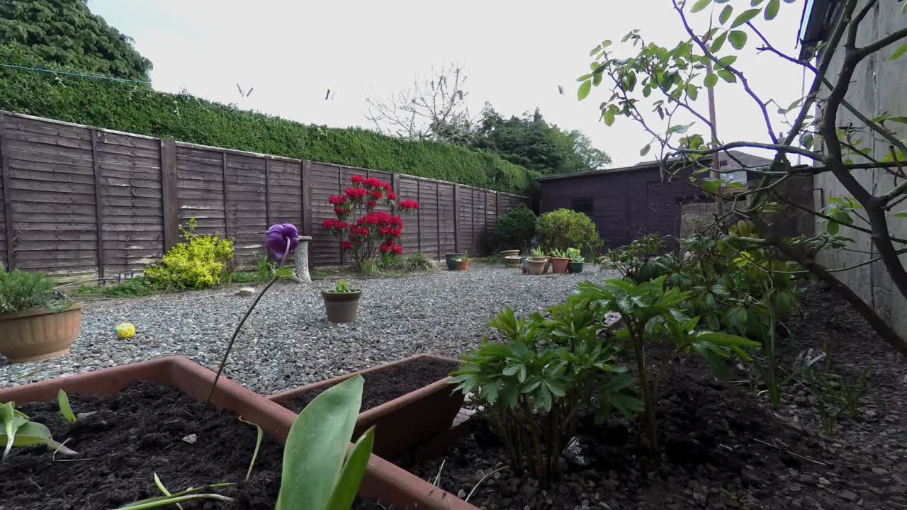 un lapso de tiempo que muestra nubes y arbustos de lectura coloridos