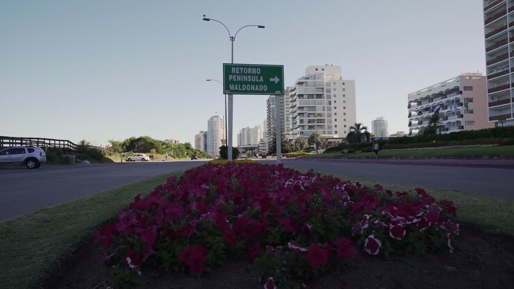 Fermo immagine del cartello stradale Retorno Penisola Maldonado a Punta del Este, Uruguay