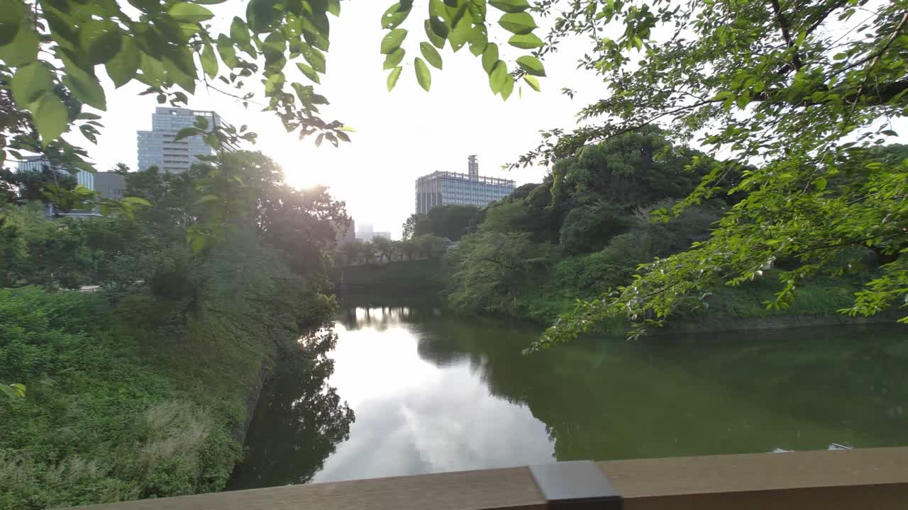 도쿄 치도리가푸치 (tokyo chidorigafuchi) 2022년