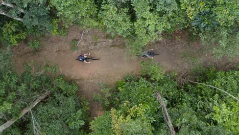 ciclistas recorriendo un bosque, vista aérea de pájaros