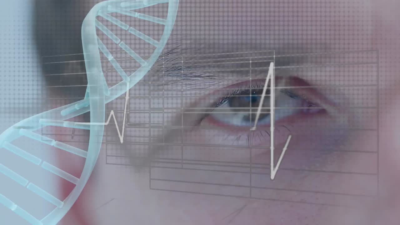 인간과 dna 이중 나선과 심장 선