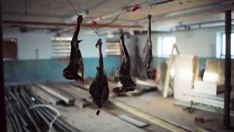 The-Smoked-Deer-Meat-is-Suspended---Close-Up