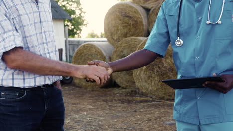 people handshaking outdoors