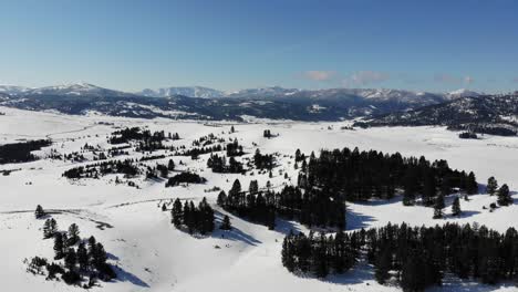 Toma-De-Drones-De-Montañas-En-La-Distancia-Con-Las-Altas-Llanuras-Y-El-Bosque-Durante-El-Invierno