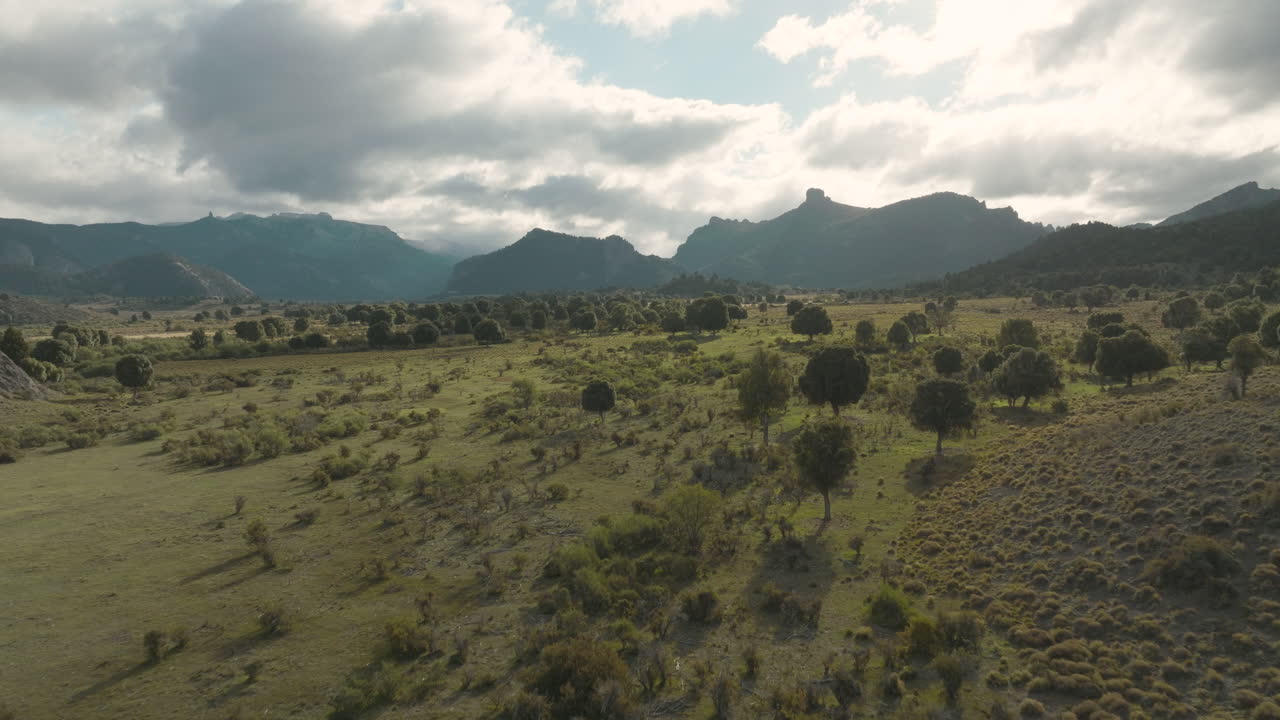 Magnifica ripresa aerea panoramica delle pianure dell'Argentina prima di una catena montuosa