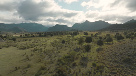 gorgeous flyover aerial shot of the plains of argentina before a mountain range