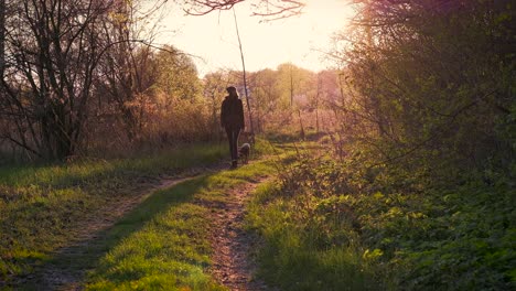 young female person and dog walk in rural area at sunset