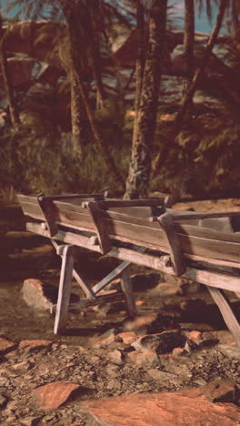 a wooden boat in a desert oasis