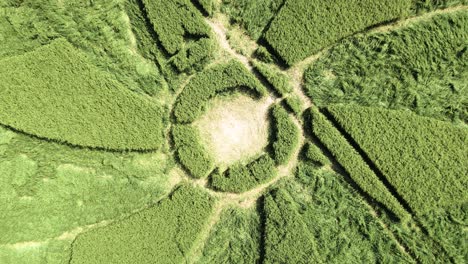 broad hilton barley crop circle intricate spiral pattern aerial rising view over rural wiltshire field