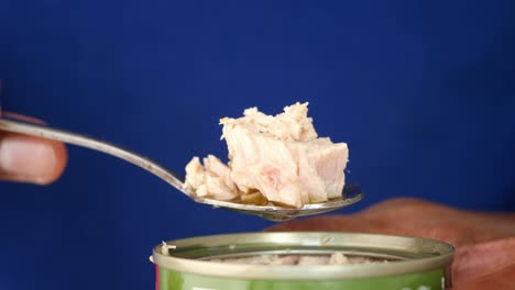 close-up of a fork with a piece of canned tuna