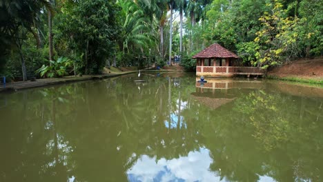 drone flying over a small pond in a village surrounded by trees
