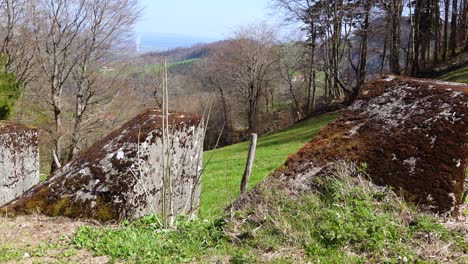 toma panorámica que muestra la antigua barrera antitanque cubierta en la guerra mundial en suiza