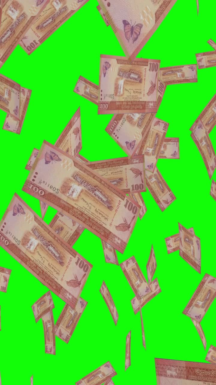 Sri Lankan Rupees Falling