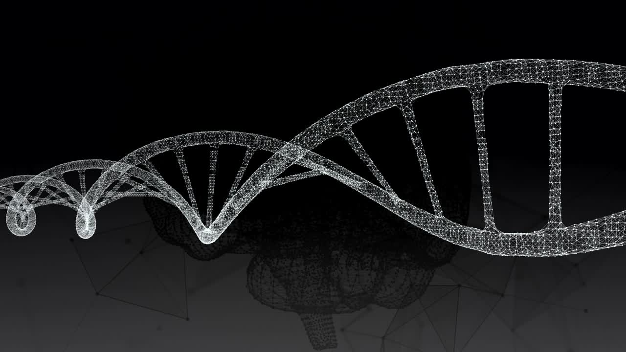 el adn humano, el cerebro. fondo abstracto con el plexo. animación de bucle