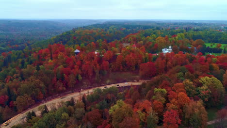 Forest-during-foliage-season