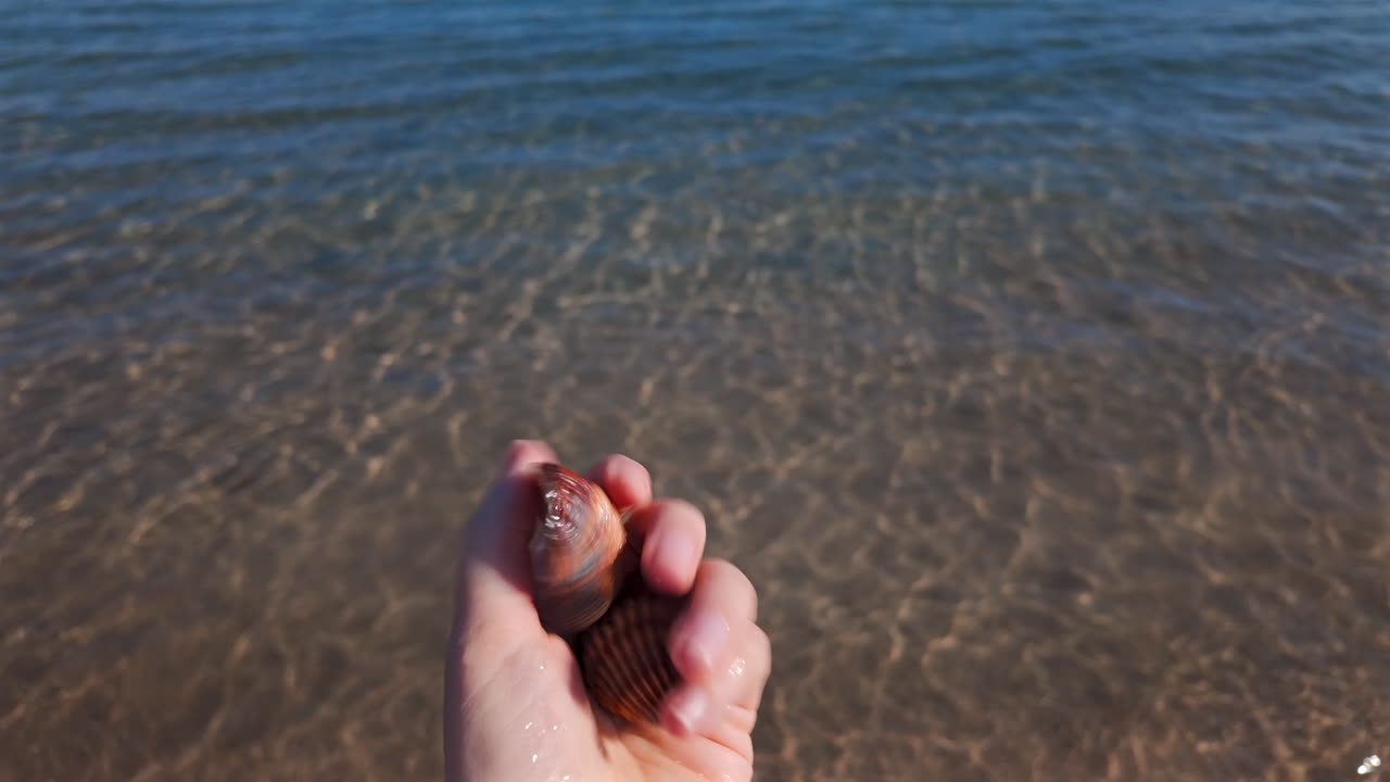 Close up of a hand holding a seashell against a clear blue sea background
