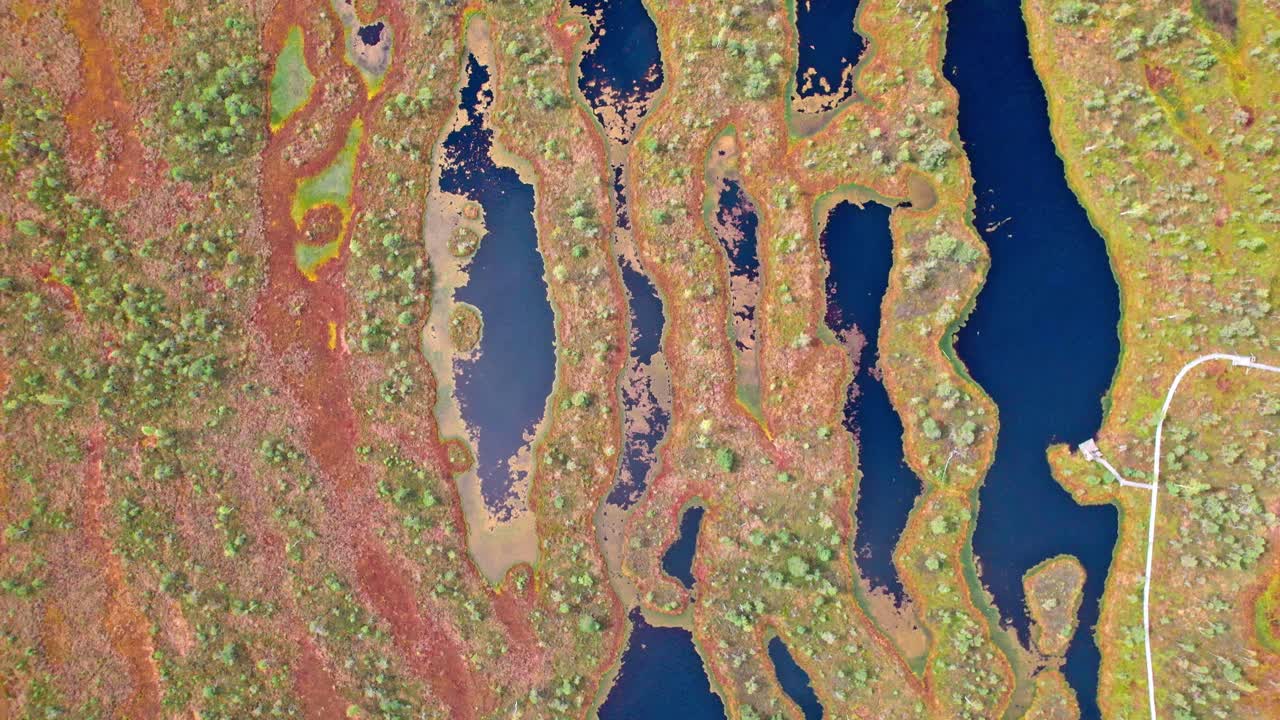 Stunning aerial view of Kemeri swamp landscape in Latvia