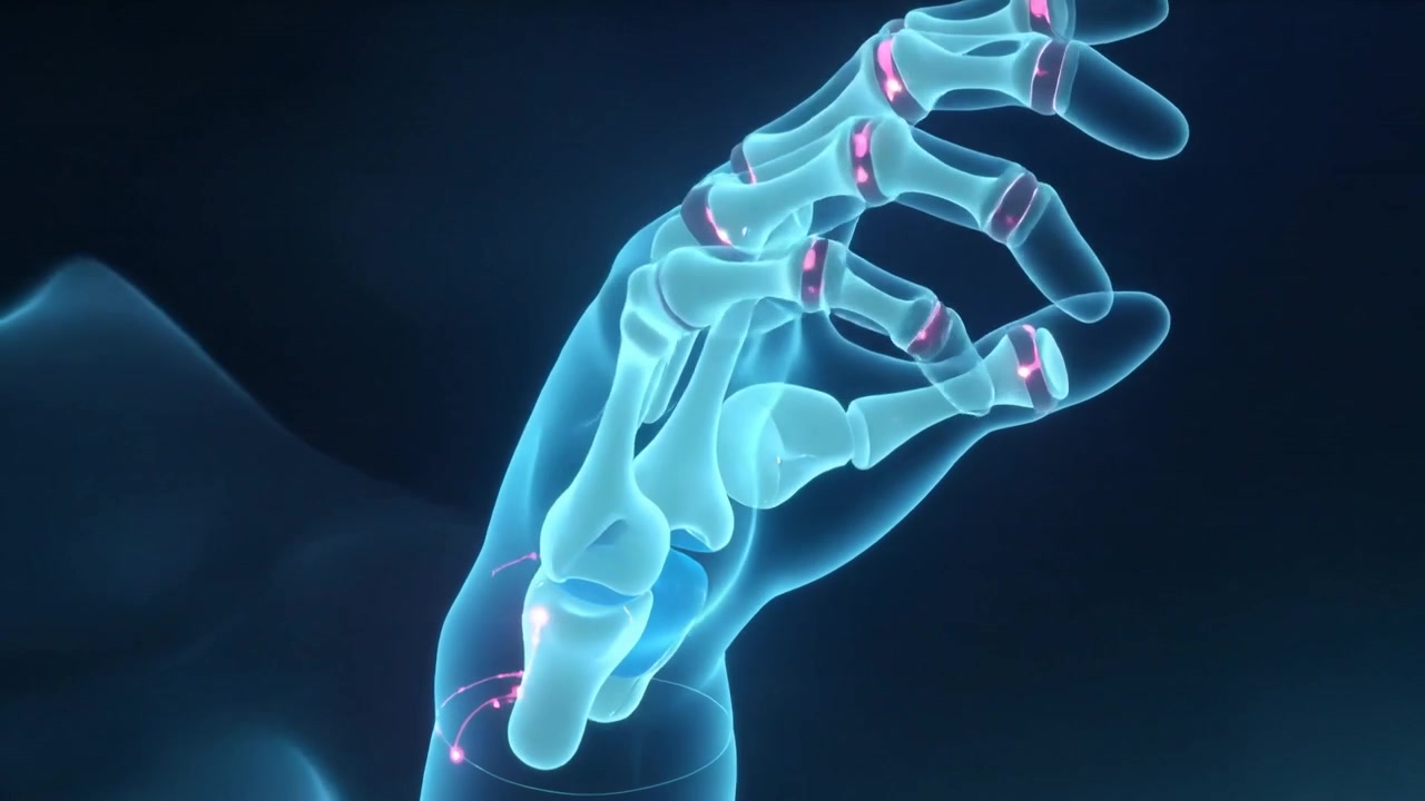 Roterende 3D-håndskelet, der reagerer på håndledspulser i medicinsk 3D, og viser lyserøde knudepunkter til studie