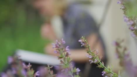 woman drawing in a garden with sage flowers