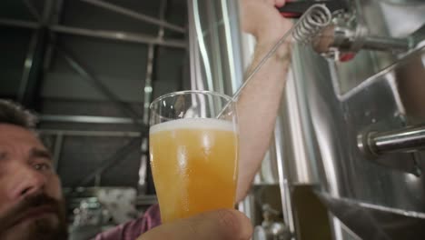 young brewer wearing a leather apron is tasting beer at a modern brewery