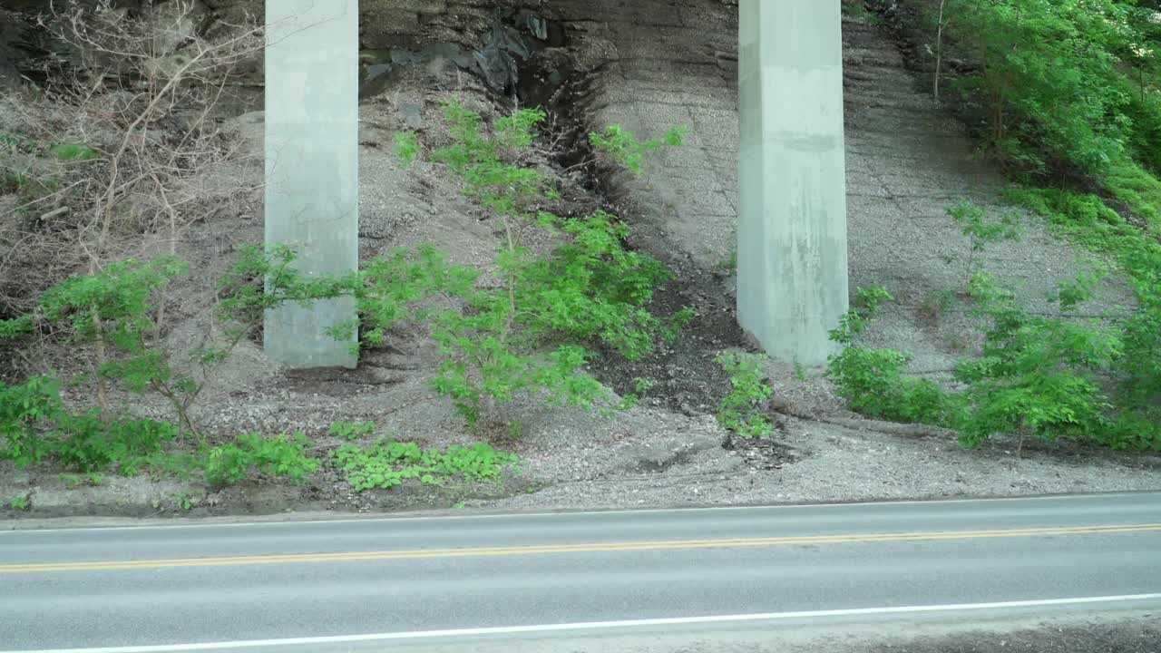 автомобили в парке 8 кадров в секунду