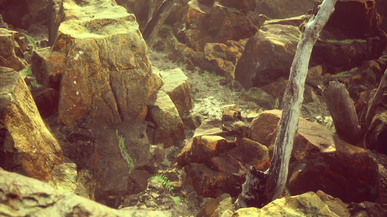 Unique geological formations at sunset revealing natural beauty