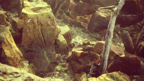 unique geological formations at sunset revealing natural beauty