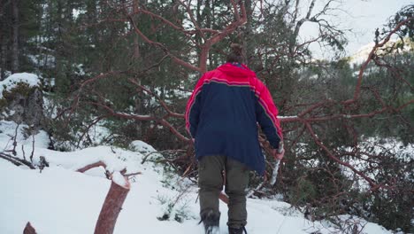 hombre noruego caminando hacia los árboles caídos y recogiendo ramas secas durante el invierno