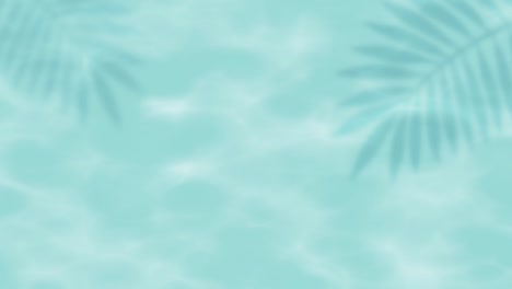 sea and palm leaves (009)