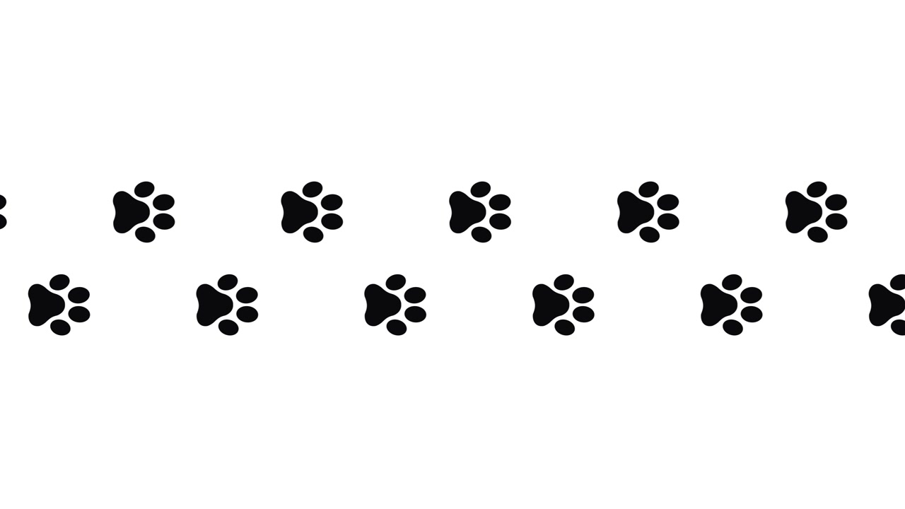 Aufkleber-Design mit Pfotenabdrücken, das eine Animation mehrerer Fußspuren zeigt, isoliert auf weißem Hintergrund.