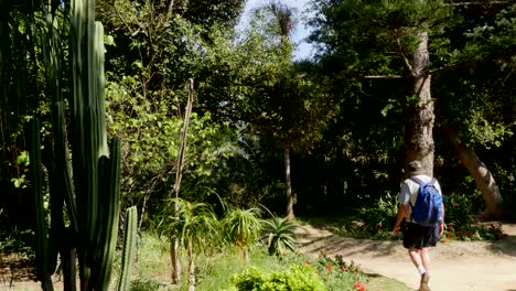 captura de cámara del parque de la ciudad española de cádiz = plano estático de un anciano caminando por un sendero en el parque con una mochila