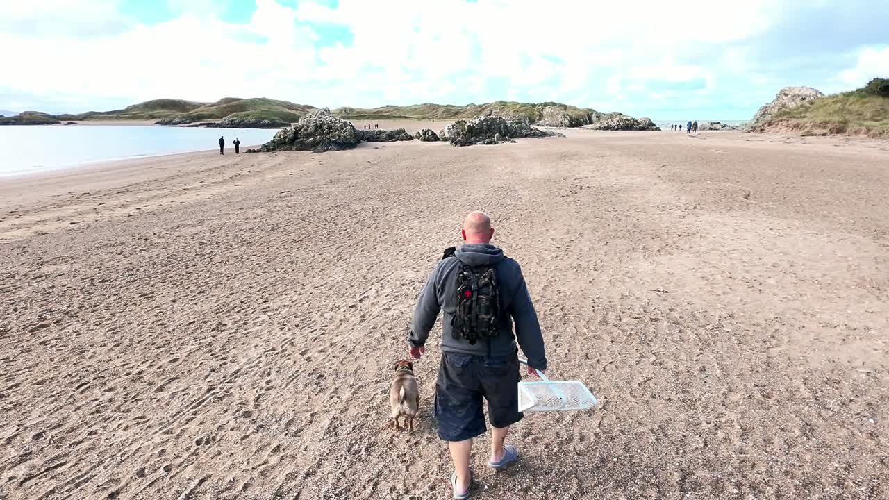siguiendo al perro que camina por la hermosa playa arenosa de gales para hacer ejercicio temprano en la mañana