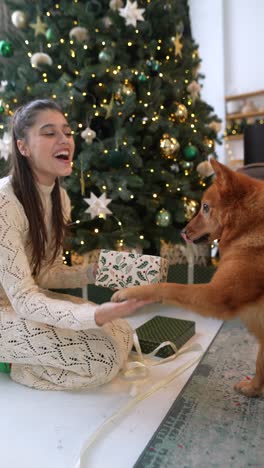 girl and dog opening christmas presents