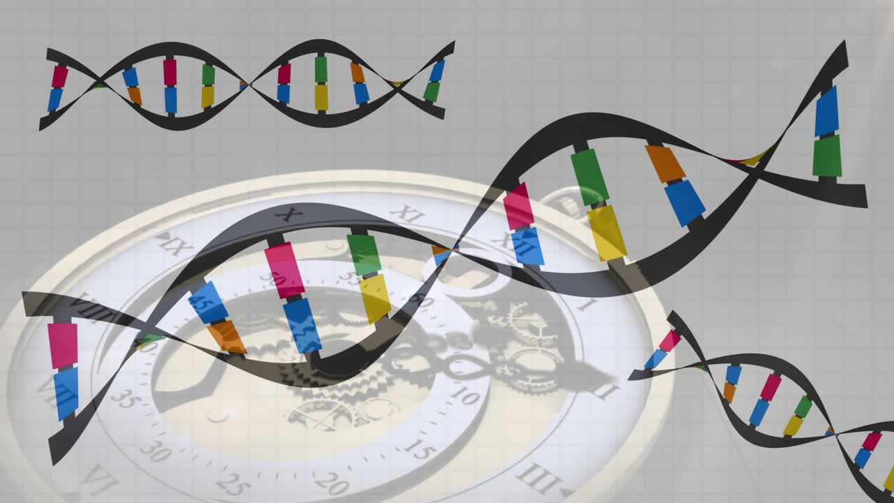 Grid rising stylized DNA helices undulating and rotating over clock face showing genetic cycles