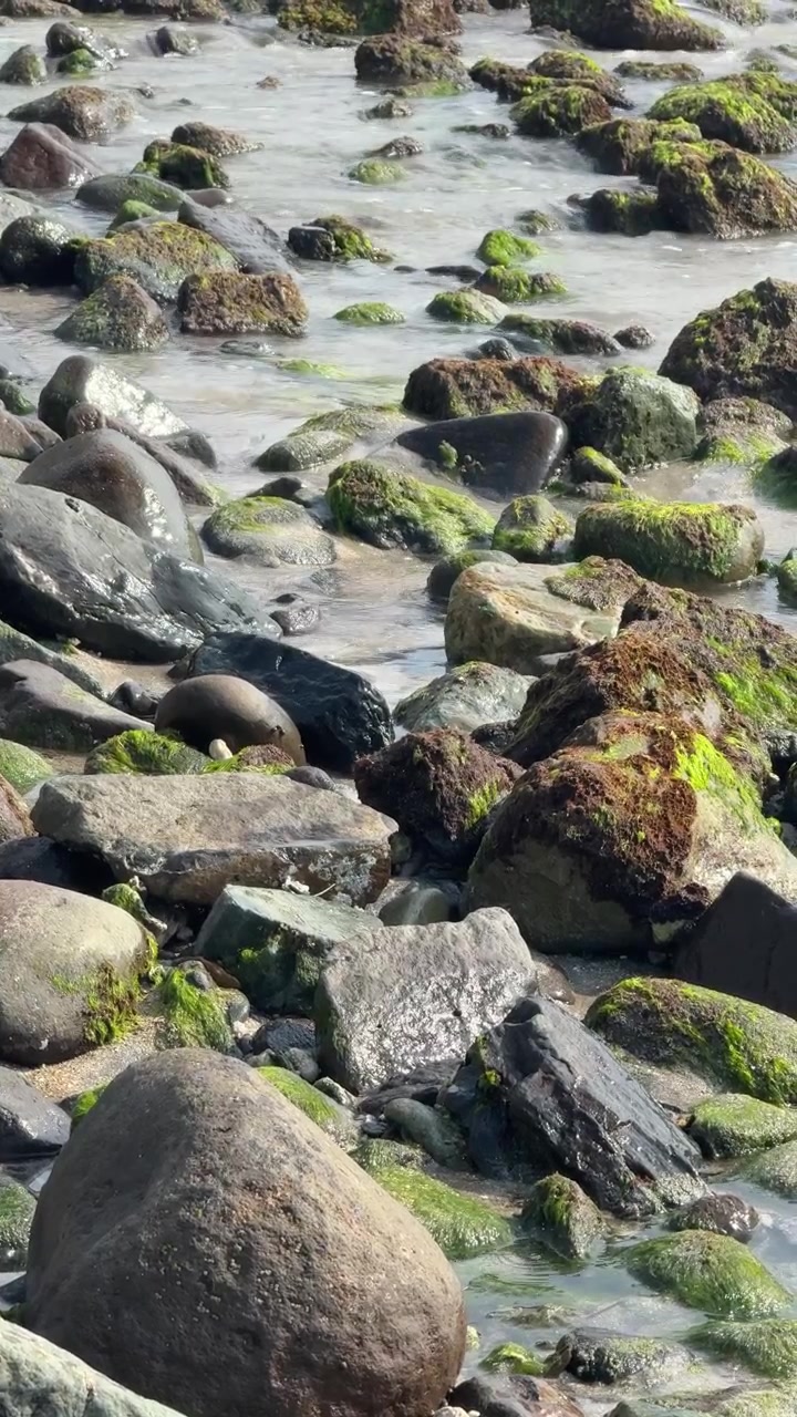 Dolci onde dell'oceano che lambiscono rocce ricoperte di muschio sulla riva.