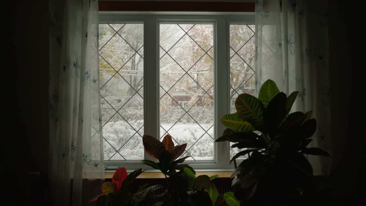 Snowy Scene Viewed From A Window With Plants In The Foreground Inside The Room. - wide shot