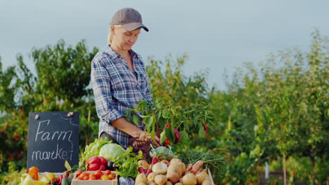 el vendedor en el mercado de agricultores arranca pimienta fresca de una rama y la pone en el mostrador de la granja cinco
