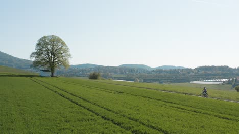 Drone---Aerial-panorama-shot-of-al-lonely-chapel-on-a-field-with-grass-with-a-bike-rider-and-a-road-with-panorama-of-the-seven-mountains---Siebengebirge-30p