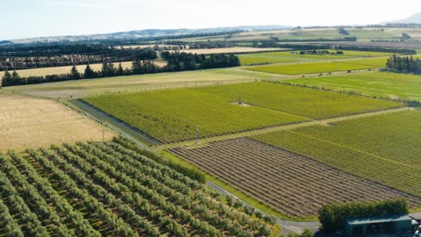 Vista-Aérea-De-Un-Viñedo-En-El-Campo-De-Waipara,-Nueva-Zelanda