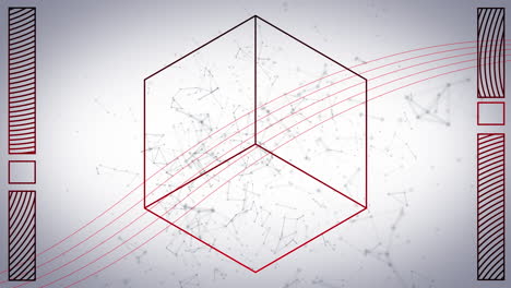 animación de cubo y paralelo sobre red de conexiones moviéndose sobre fondo blanco