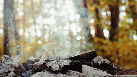 Ein-Frisch-Gelöschtes-Lagerfeuer-Voller-Asche-Und-Rauch-Mitten-Im-Wald,-Noch-Keine-Menschen-Erschossen