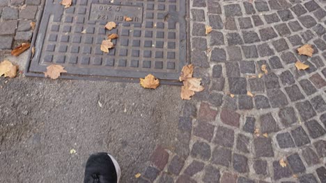 footsteps on cobblestone street with fallen leaves