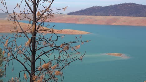 Lago-Oroville-California-Durante-Condiciones-Extremas-De-Sequía-Con-Bajos-Niveles-De-Agua-Y-árboles-Quemados