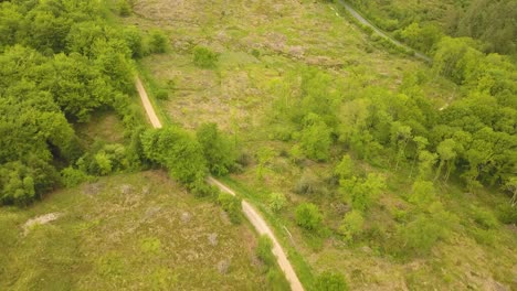 Rising-Up-above-the-trees-in-castle-neroche-Forrest,-Somerset,-United-Kingdom