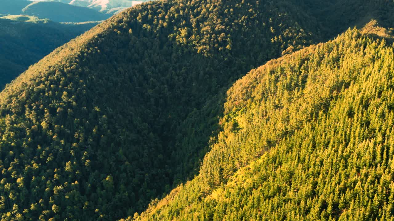 태양, 유럽, 나무, 숲, 노랑, 위에, 자연스러운, 트렁크, 도로, 풍경, 차, 아스팔트, 방법, 교통, 여름, 산, 시즌, 꼬리, 공원, 경치, 화려한, 여행, 가을