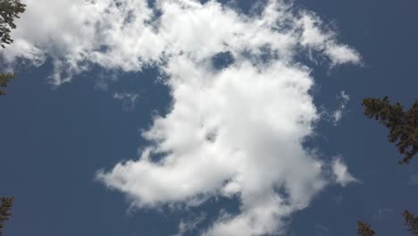 Imágenes-De-Esponjosas-Nubes-Blancas-Flotando-Sobre-Un-Cielo-Azul-Claro.